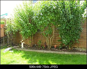 Babynin zu �lteren Kaninchen?-sdc18608.jpg
