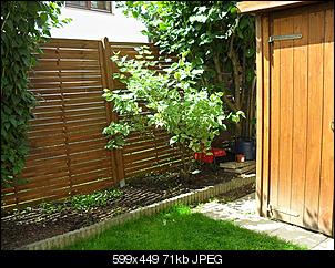 Babynin zu �lteren Kaninchen?-sdc18609.jpg