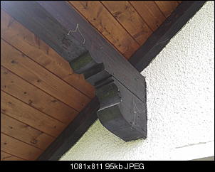 Gemischte Fragen vom Kaninchenneuling-2012-08-04-13.04.22.jpg
