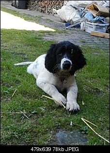 Frage an Au�enhalter-dscn1367.jpg