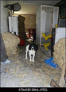 Frage an Au�enhalter-dscn1366.jpg