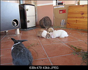 Was w�rdet ihr tun in solch einer Situation???-img_1489%5B1%5D.jpg