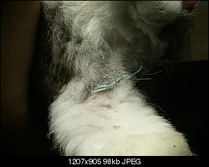Hilfe :(-pict3329.jpg