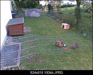 Ist das okay?-25092012-002-.jpg