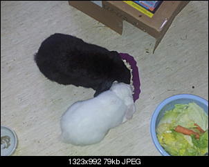 wie merk ich, dass es �berstanden Is?-20120927_080815%5B1%5D.jpg