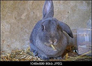 Klicke auf die Grafik f�r eine gr��ere Ansicht

Name:	Daisy.jpg
Hits:	284
Gr��e:	85,8 KB
ID:	18455