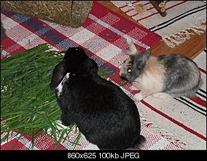 Zusammenf�hrung-sdc10888.jpg