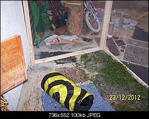 VG Bunny und Fridolin Bilder und Frage-100_7640.jpg