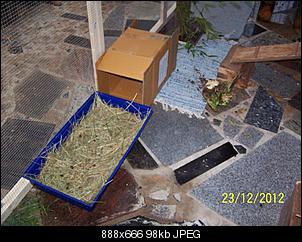 VG Bunny und Fridolin Bilder und Frage-100_7641.jpg