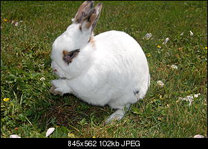 Pubert�t?-dsc_0227.jpg