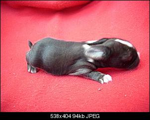 Babys haben kugelrunde B�uche!-mix-babys-021.jpg