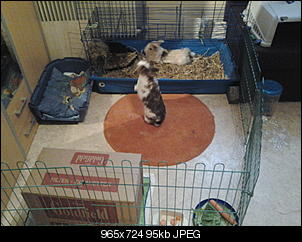 Notfall: Handel ich richtig?-20130122_145050.jpg