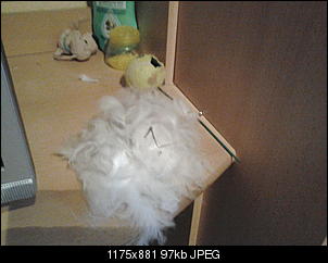 Notfall: Handel ich richtig?-20130122_145034.jpg