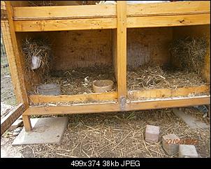 Br�der streiten sich st�ndig.-allesmeins-012.jpg