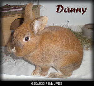 Schlechte Neuigkeiten :(-dannyse01.jpg