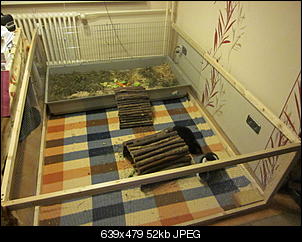 Nins im Hausflur gefunden-img_0002-2-.jpg
