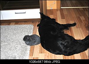 Muckelchen spinnt!!!-dsc_0488.jpg