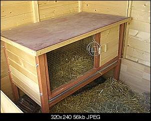 Zoff im Hasenstall-cimg1170.jpg