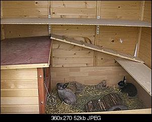 Zoff im Hasenstall-cimg1175.jpg