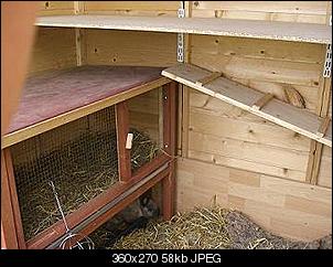 Zoff im Hasenstall-cimg1177.jpg