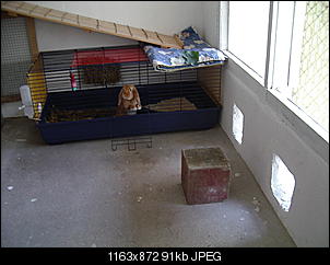 Tierheime nicht interessiert?-urlaubsheim-004.jpg