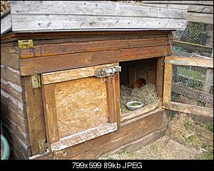 Aussenstall in Arbeit und Planung, nur wie?-dscn2636.jpg