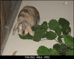 Fotos f�r die Redaktion-img_1656.jpg_neu.jpg