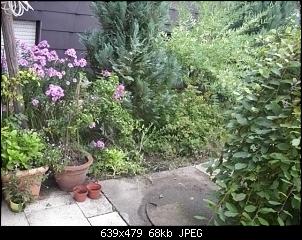 Klicke auf die Grafik f�r eine gr��ere Ansicht

Name:	DSCI0523.jpg
Hits:	229
Gr��e:	67,8 KB
ID:	24515