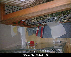 "Sch�den" bei Innenhaltung-a031%5B1%5D.jpg