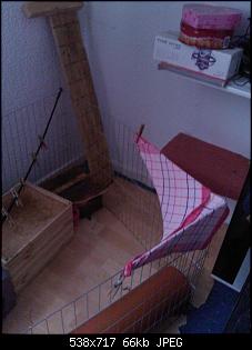 Enormer Stress durch Weibchen/Weibchen Konstellation-ecke-2.jpg