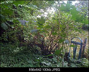 Kaninchen-Paradies-img_2221.jpg