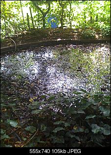 Kaninchen-Paradies-img_2197.jpg