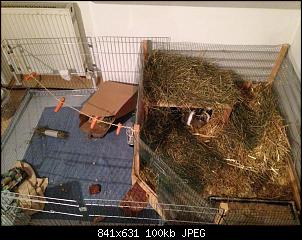 Hilfe.............-2013-11-02-17.24.04.jpg