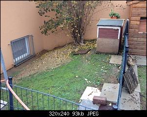 Klicke auf die Grafik f�r eine gr��ere Ansicht

Name:	k-IMG_2492.JPG
Hits:	147
Gr��e:	92,6 KB
ID:	25574