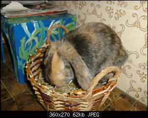Meine neue Luna und die VG , altes Thema-pict0871.jpg