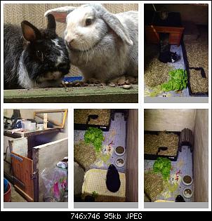 Klicke auf die Grafik f�r eine gr��ere Ansicht

Name:	image.jpg
Hits:	1012
Gr��e:	95,0 KB
ID:	25928