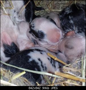 Kinder�berraschung...-7-jungi.jpg