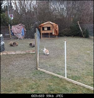 Kinder�berraschung...-1069791_271121873044565_1497734541_n.jpg