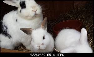 Kinder�berraschung...-rose-perfekts-mami.jpg