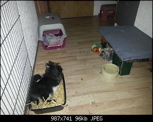 Neue Partnerin f�r Kr�mel-20140215_091845.jpg