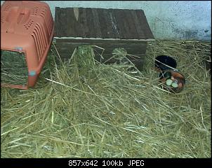 Ist sie schwanger?-20140406_113117.jpg