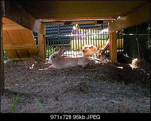 Fr�hkastration-sany0268-%5B1600x1200%5D.jpg