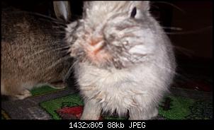 Sabberndes Ninchen ist das normal ?-20140425_213654.jpg
