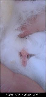 Anf�nger sucht dringend Rat - VG & Stall-imag0167_1.jpg