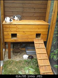 Kletter�ffchen als Kaninchen-20140614_134241-1.jpg