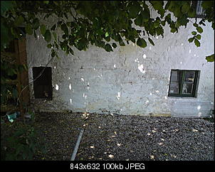 Hasenzusammengew�hnung-nins.jpg