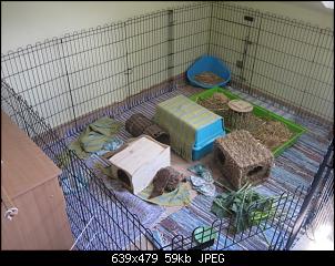 Simba ist aggressiv-img_8540-small-.jpg