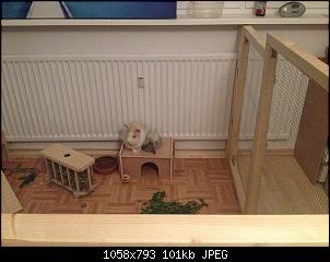 Vorbereitungen auf gl�ckliche Zweisamkeit-image.jpg