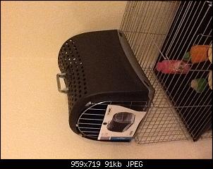 Die perfekte Transportbox-image.jpg
