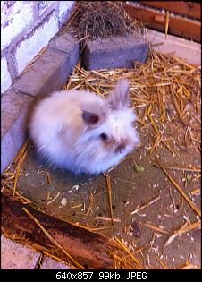 fundtier-aufregendes wochenende-img_1284.jpg
